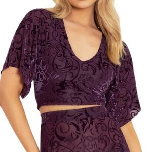 Limited Rare Blackmilk Burned Velvet Gothic Gates Plum Kimono Tie Top
